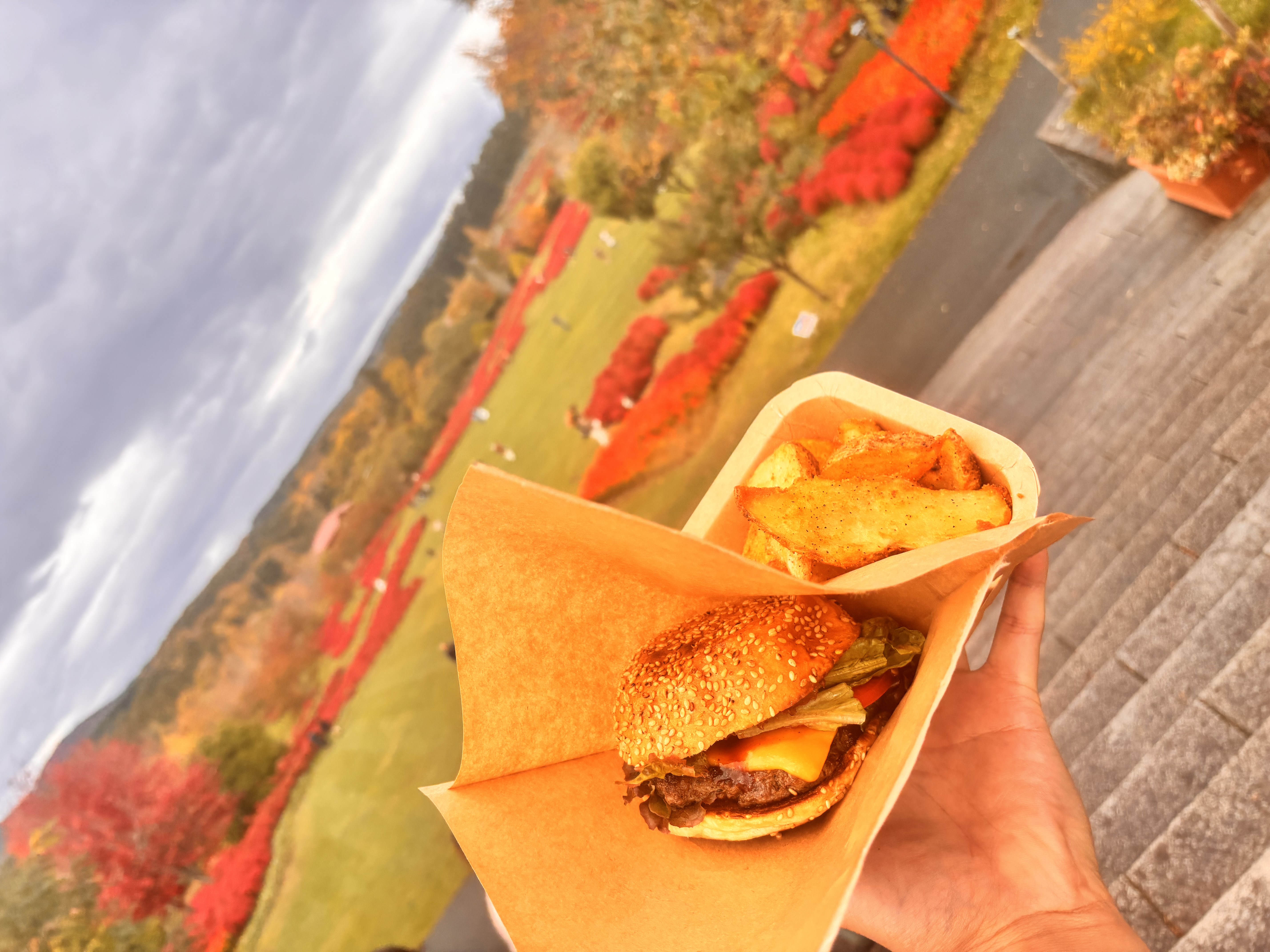 ニセコヒラフハンバーガーのサブ写真１